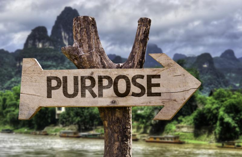 Finding and pursuing your purpose 2